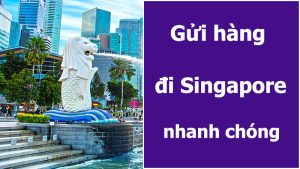 Gửi hàng đi Singapore nhanh chóng, giá rẻ